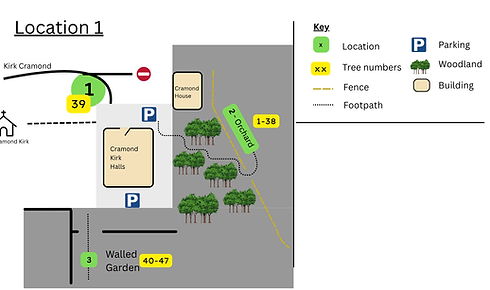 C C map (10).png