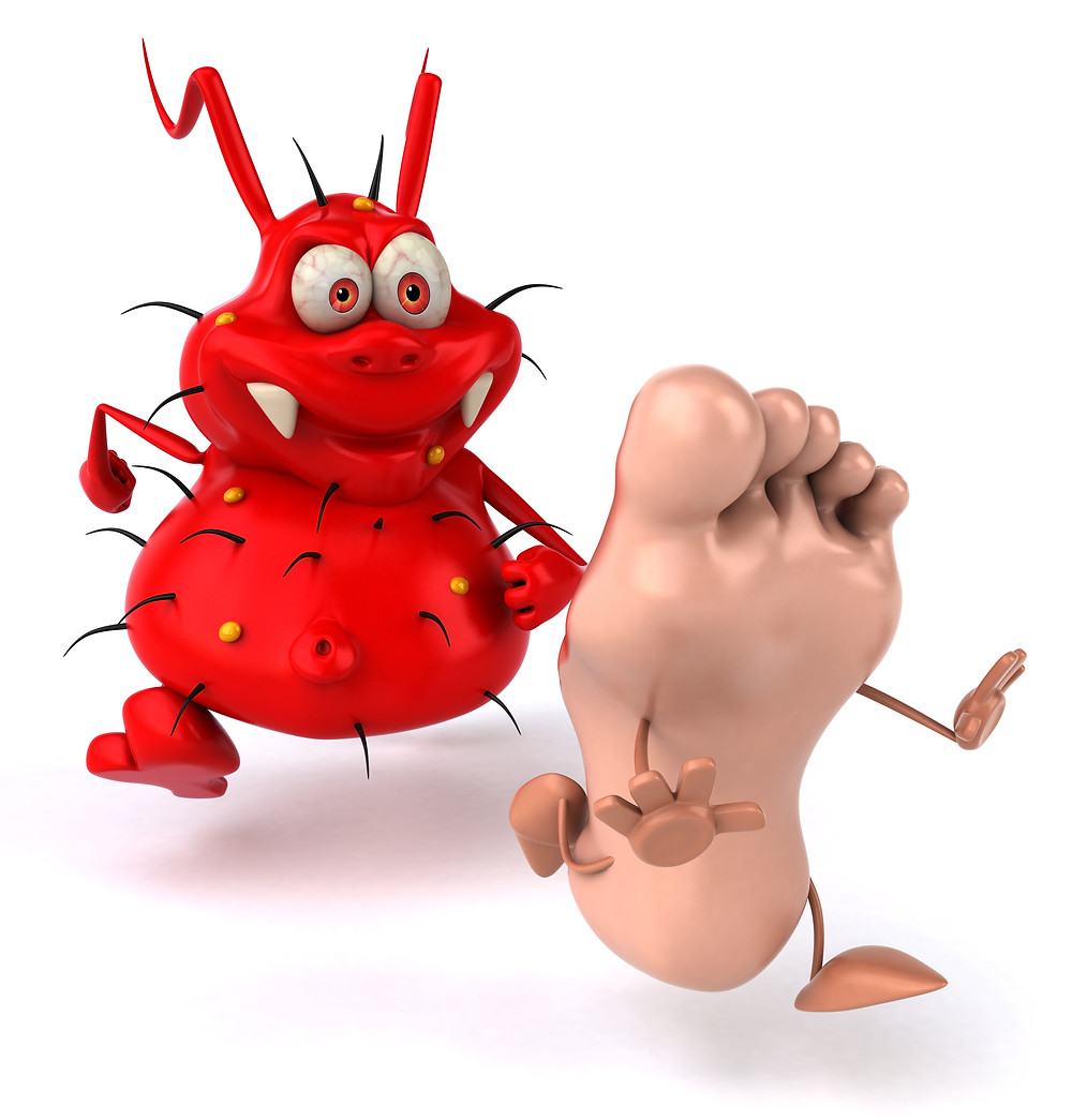 Shoe odor and fungus control