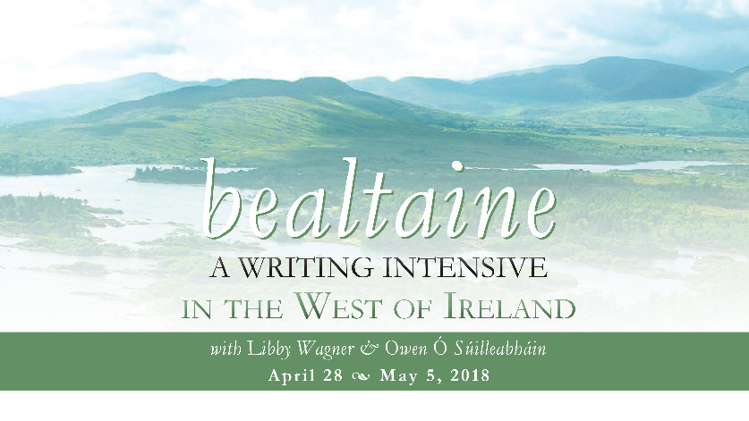 Essay writers ireland