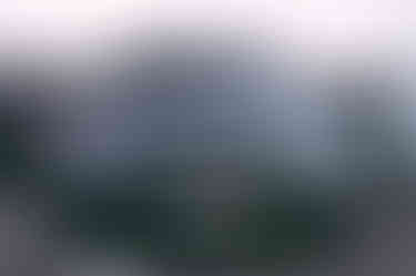 IMG_2536-2-Edit-2
