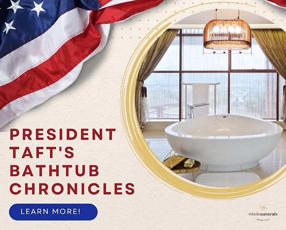 william taft bathtub picture
