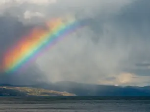 Any Question Whatsoever