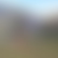 It might have been the sighing of the breeze.