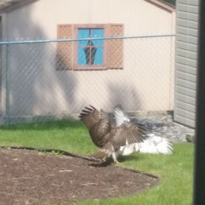 Hello, we’re back!