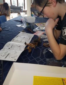 This one goes to eleven