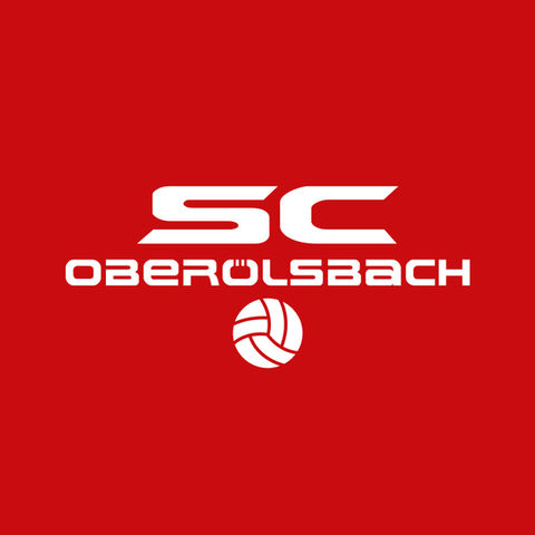 Vereinsloge, Sportverein-Logo, logo, brand, branding, company logo