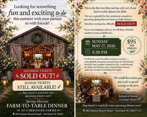 final social media flyer for May 17.png