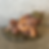 Thumbnail: Authentic Tom Clark Jeff Gnome #31