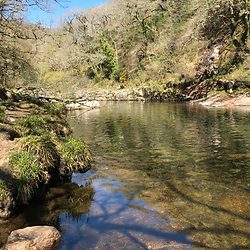 This is a large river pool surrounded by trees and a little blue sky showing in the distance. The water is clear and you can see the pattern of the rocks through it, the sun is shinning and it looks lovely for a swim.