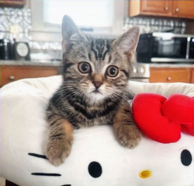 9_edited_edited_edited