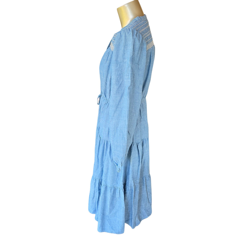 Thumbnail: Levi's Denim Dress