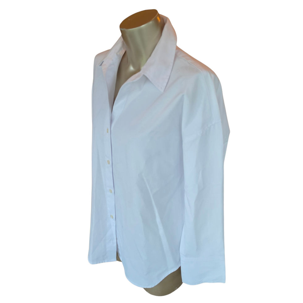 Thumbnail: Zara Blouse 