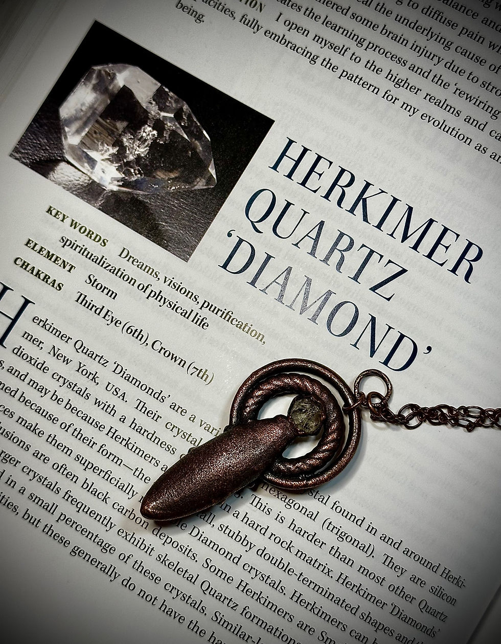 Herkimer Beetle (real beetle)