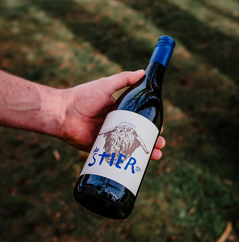 GAAF FOTOGRAFIE - HET WIJNAVONTUUR I PIETER-28_edited.jpg