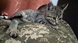 a0cc7659-6f71-4d2e-8012-305823bf84bb