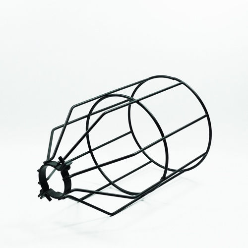 Thumbnail: Edison Cage P01