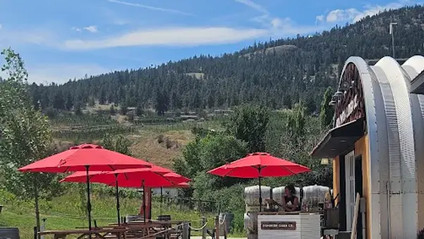 A flight of dry, wild-ferment Dominion Cider including Magic Hour and small-batch experimental series served in the rustic farm-gate picnic area.