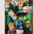 Miniaturbild: PauwPauw Motu Collection