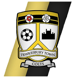 Tewkesbury Town vs Cribbs Reserves