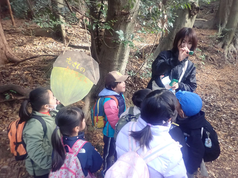 あそぼう石巻山登り ,大きなどんぐりをみつけるよ