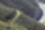 image1.jpeg