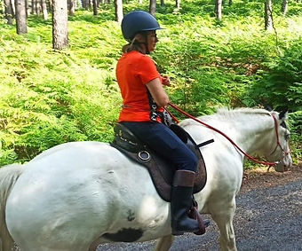 cavaliere-en-selle-australienne_edited.jpg