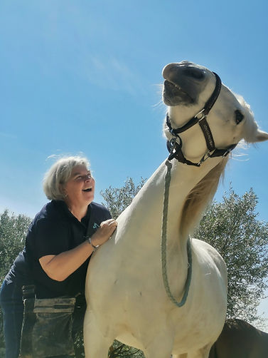 gratouilles-saddle-fitter-cheval-camargue-09.jpeg