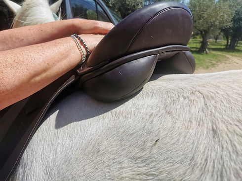 selle-monarch-gfs-marron-cheval-camargue-05.jpeg