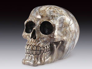 721-KFT75 Flame Skull.jpg