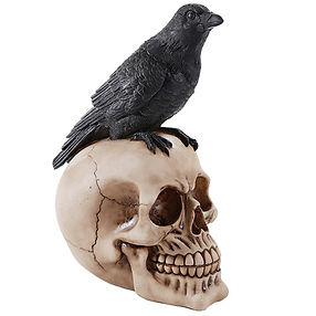 175-11449 Raven Skull.jpg