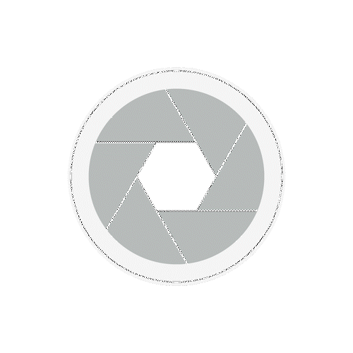 camera shutter icon v3.gif