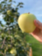 U-PICK SEASON IS HERE!