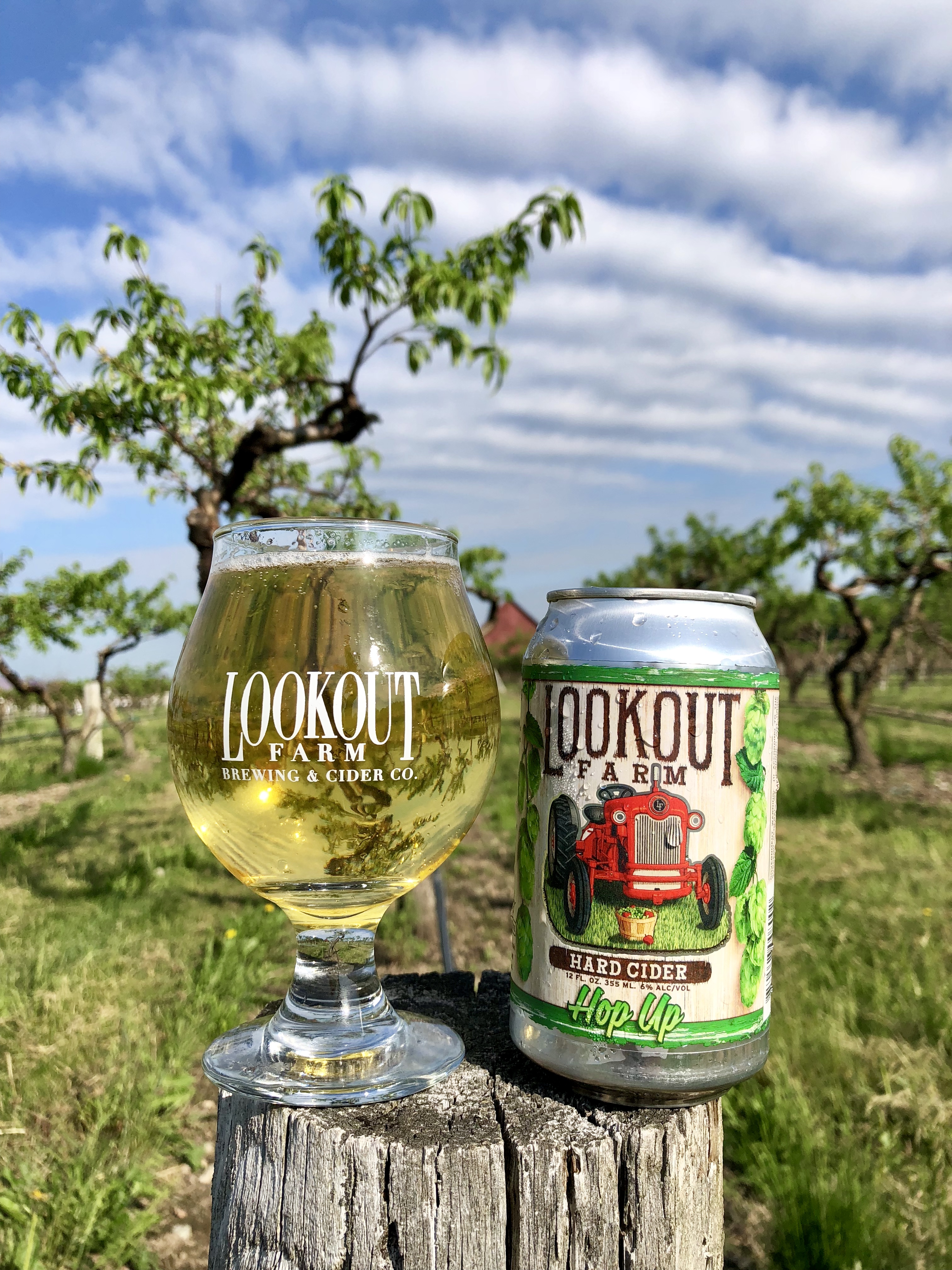 Lookout Farm Brewing & Cider Co. Natick, MA