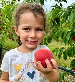 Pepper_peach_1_2025.jpeg