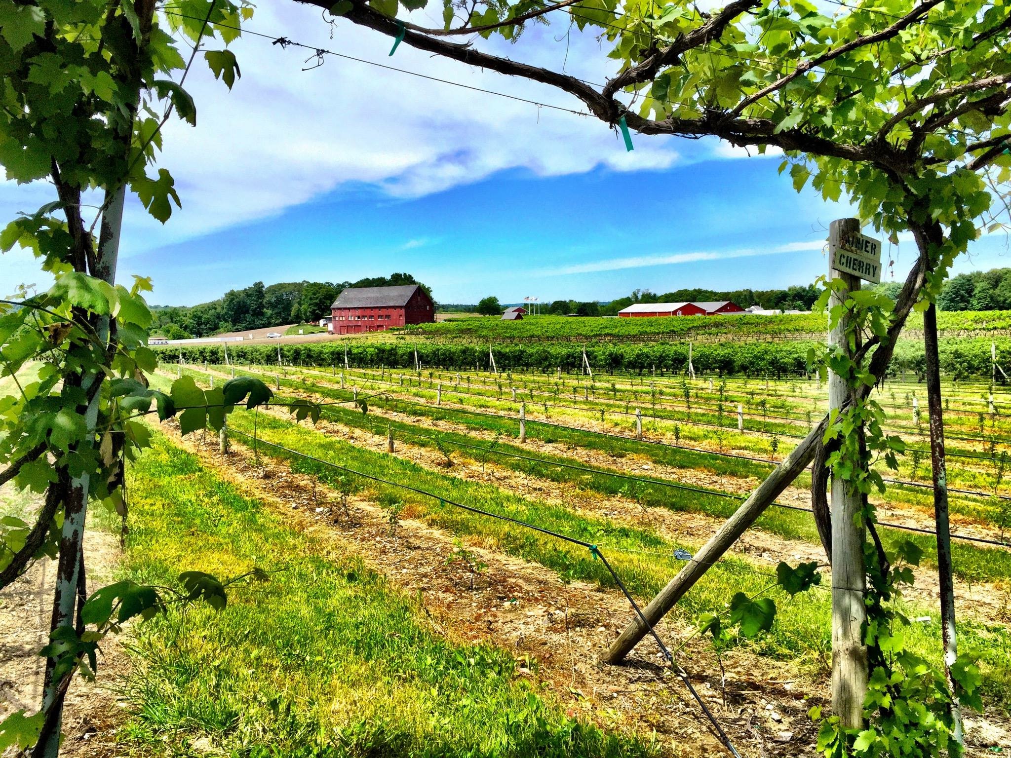 Lookout Farm Brewing & Cider Co. Natick, MA