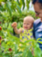 U-PICK SEASON IS HERE!