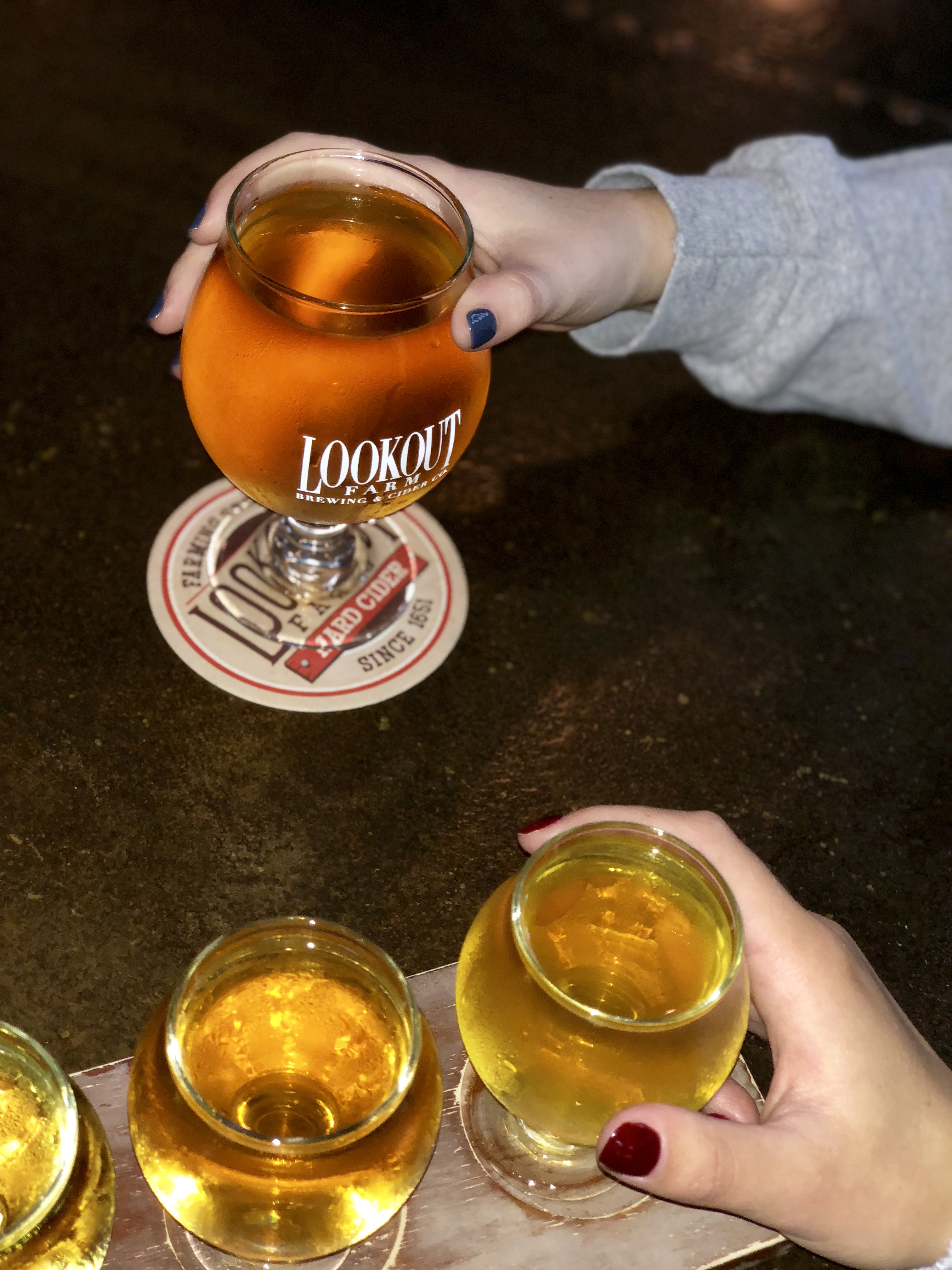 Lookout Farm Brewing & Cider Co. Natick, MA