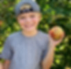 Boy picking with apple.jpg