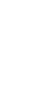 Marketing-Agency-Ornament-4.webp