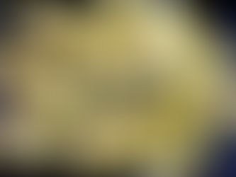 Coliflor especiado al horno