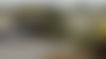 3 African Americans Gunned Down By A Racist In Florida