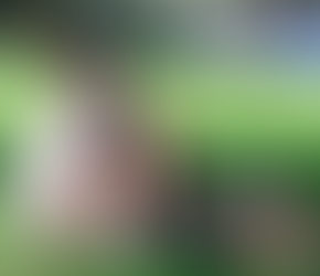 Olivia Rodrigo sighted on romantic picnic date with her rumored new boyfriend