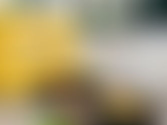 מילים של אושר