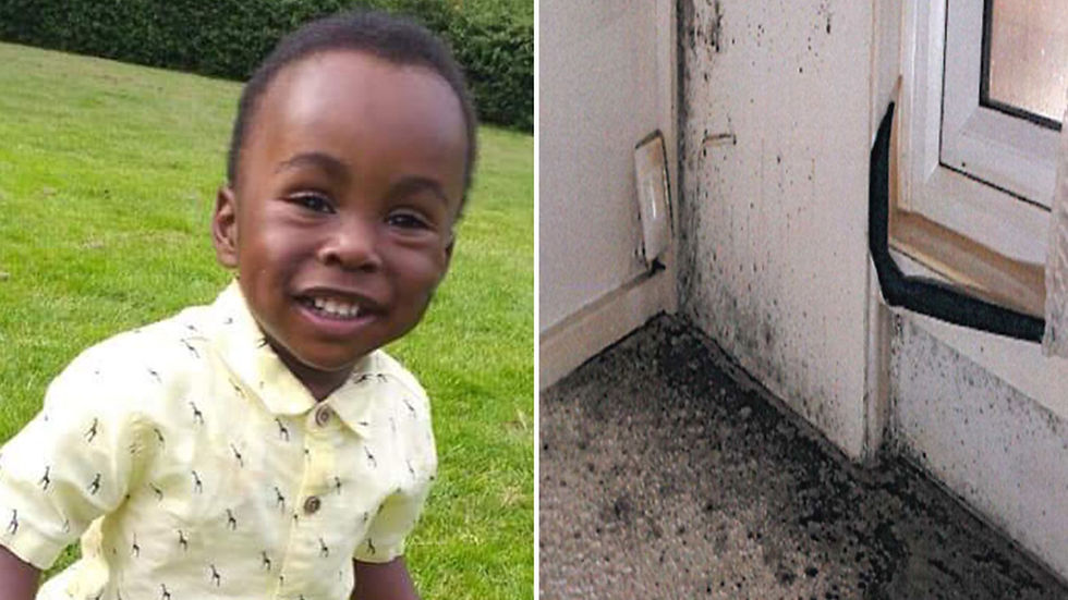 Awaab’s Law: What Landlords Need to Know About Damp, Mould and Their Legal Responsibility in 2026
