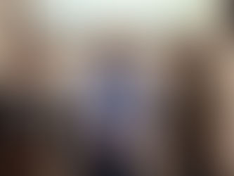 Combate Aos Atropelamentos Dos Tamanduás