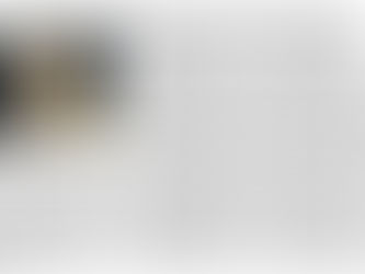 Leerer Beutel / Regensburg