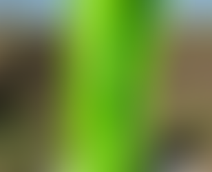 Rodovias Do Tietê inaugurará posto de recarga rápida para veículos elétricos com abastecimento.