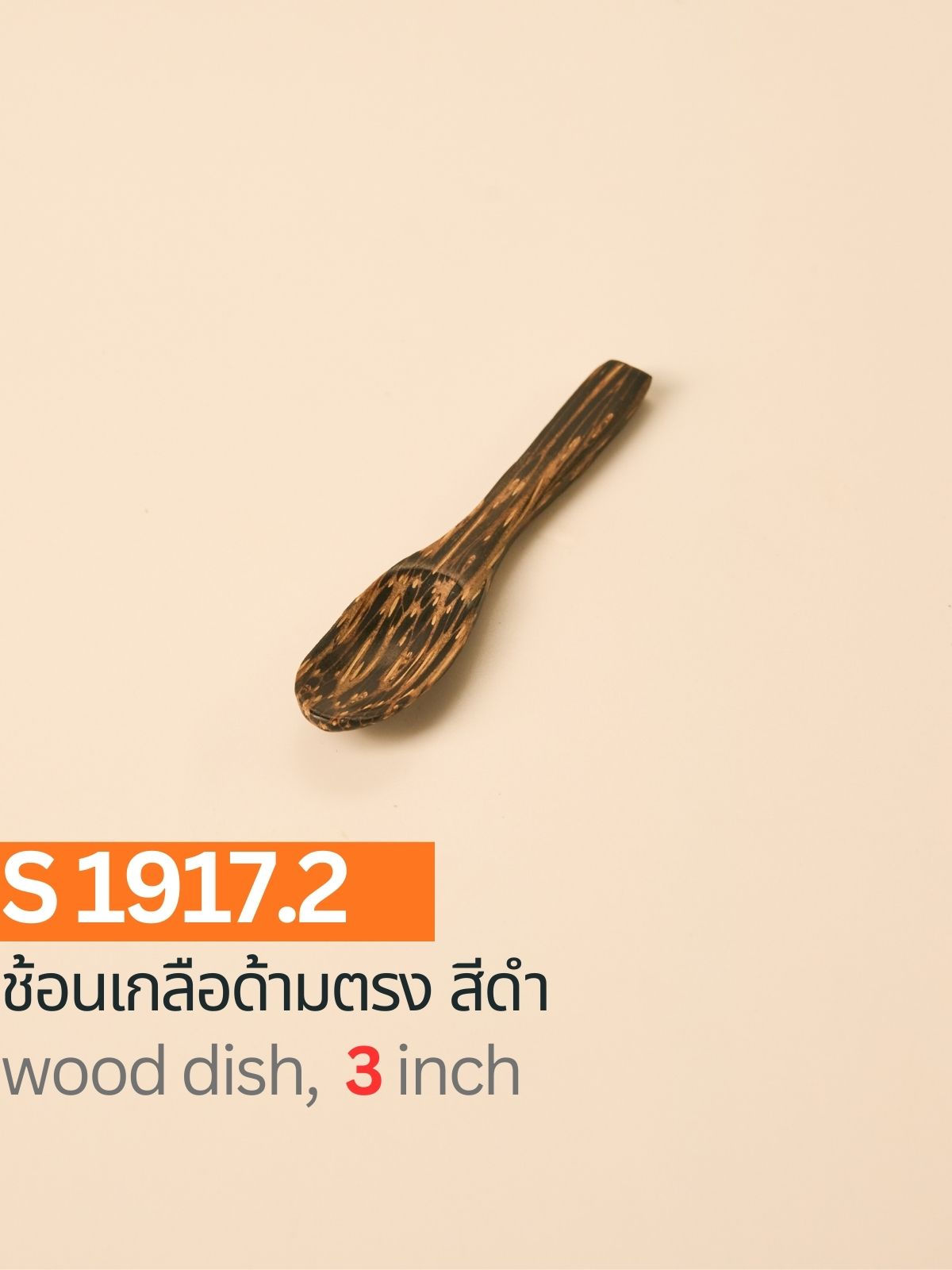 S1917.2 / ช้อนเกลือด้ามตรง สีดำ