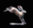 834 Small Hare Leaping_edited.jpg