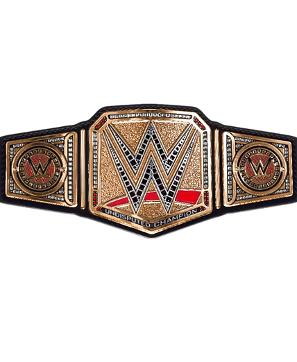 DWC Universal Heavy Weight Champonship-P